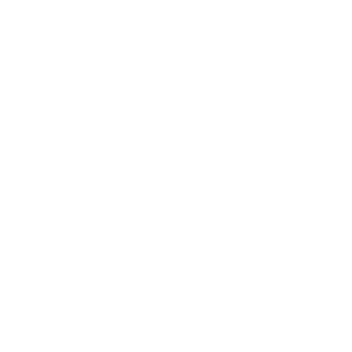 TNT WEB